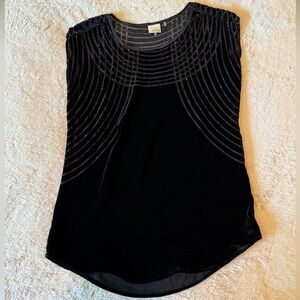Ecru Black Velvet Blouse with Sheer Stripes